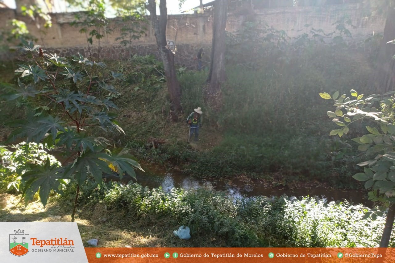 Parques y Jardines rescata 6032 metros en el río Tepatitlán