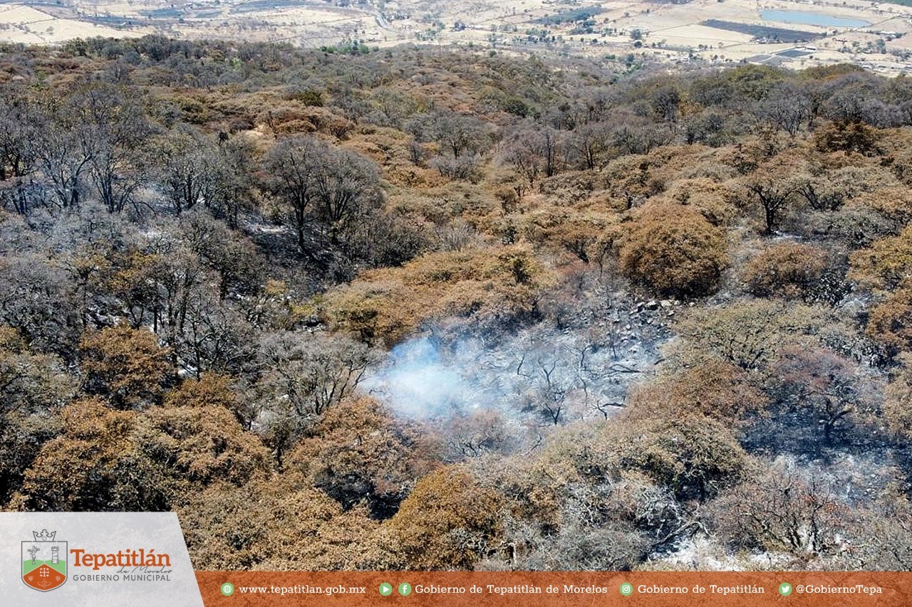 Persiste fuego en Cerro Gordo, Brigadistas no paran en el combate