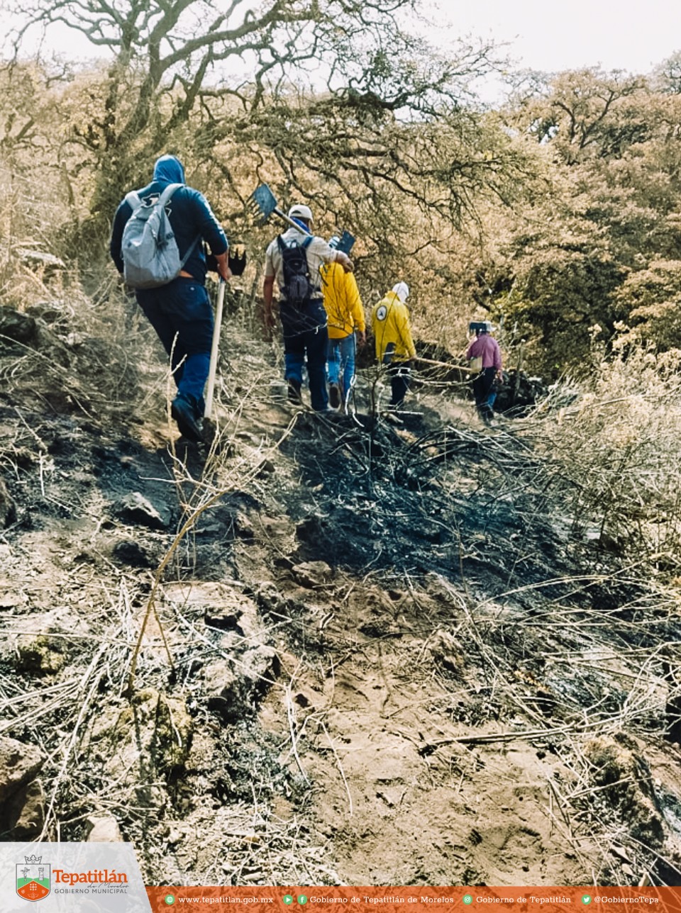 Protección Civil y Brigadistas mantienen vigilancia en el Cerro Gordo