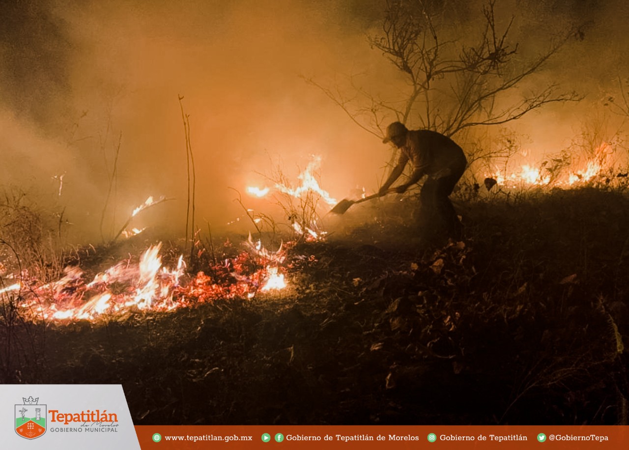 Cuerpos de emergencia y brigadistas combaten incendio en el Cerro de Picachos