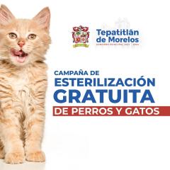 Próxima Campaña de Esterilización Gratuita de perros y gatos en Tepatitlán
