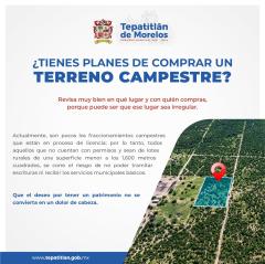 ¿Tienes planes de comprar un terreno campestre?