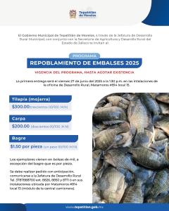 Ventanilla abierta para Programa Repoblamiento de Embalses 2025