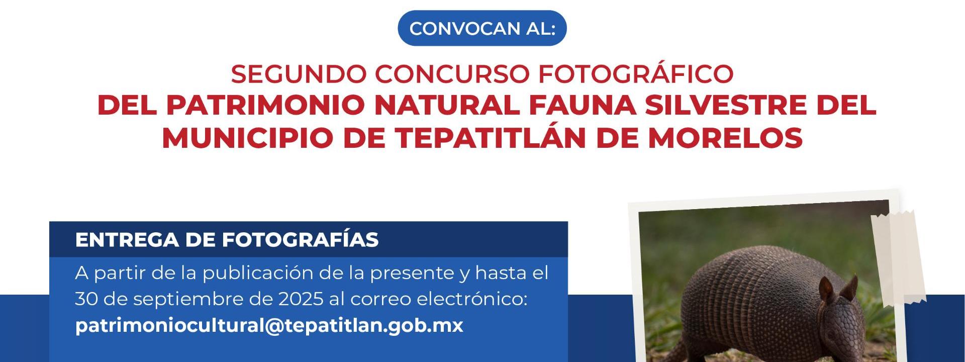 Convocatoria: Segundo Concurso Fotográfico de Patrimonio Natural: Fauna Silvestre de Tepatitlán de Morelos