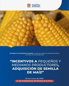 Convocatoria Preventa de semilla de maíz 2026