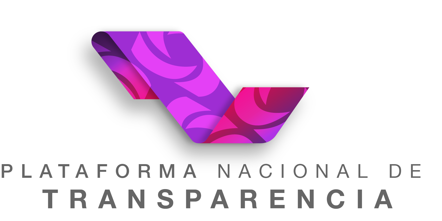 Plataforma Nacional de transparencia