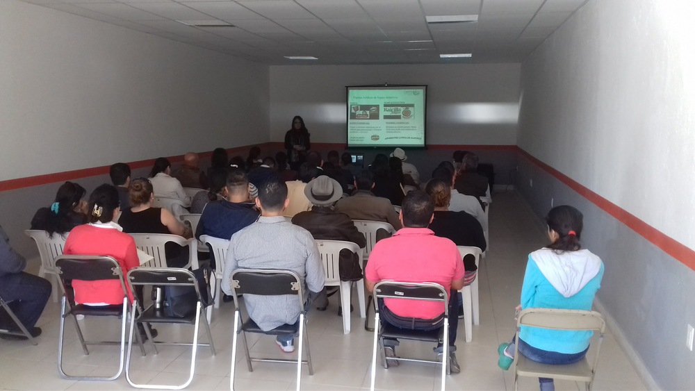 Taller Registro de Marcas