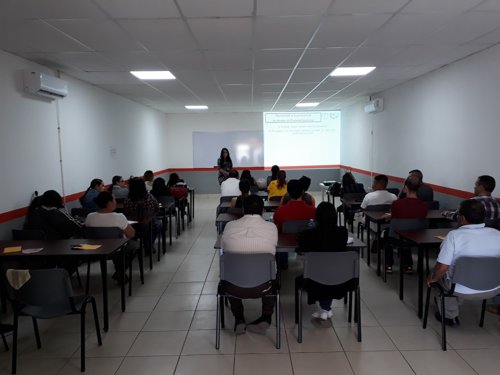 Taller Llenado de Solicitudes para el Registro de Marcas