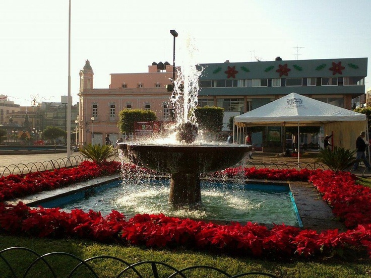 Resultado de imagen para imagenes de la plaza morelos en tepatitlan